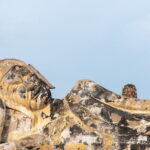 Full-Day Private Tour of Ayutthaya With ATV, Bike Ride & Boat - A Deep Dive into the Ayutthaya Full-Day Tour