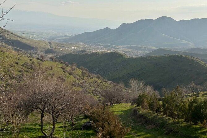 Full Day Private Tour to Fergana Valley from Tashkent - Authentic Experiences and Practical Tips