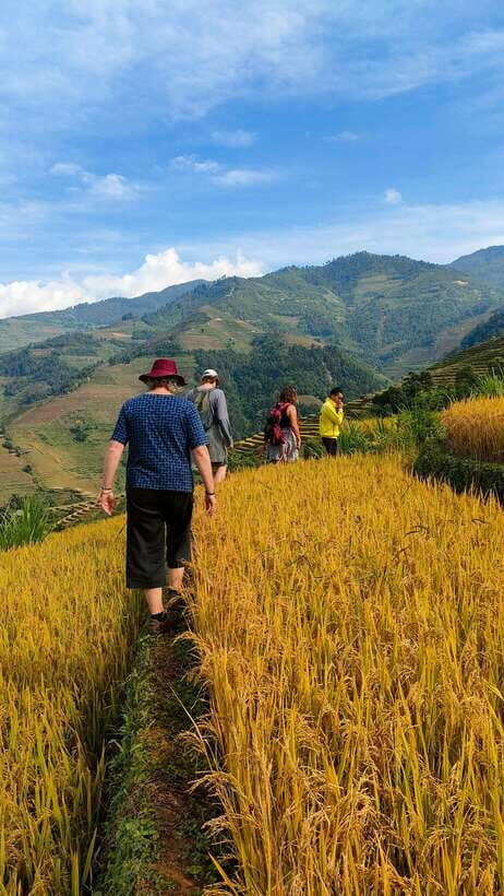 Full Day Private Trekking Mu Cang Chai - A Deep Dive into the Mu Cang Chai Trek Experience