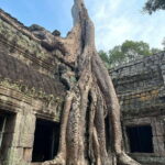 Full Day Private Tuk Tuk Multiple Temple Tour - Why This Tour Offers Great Value