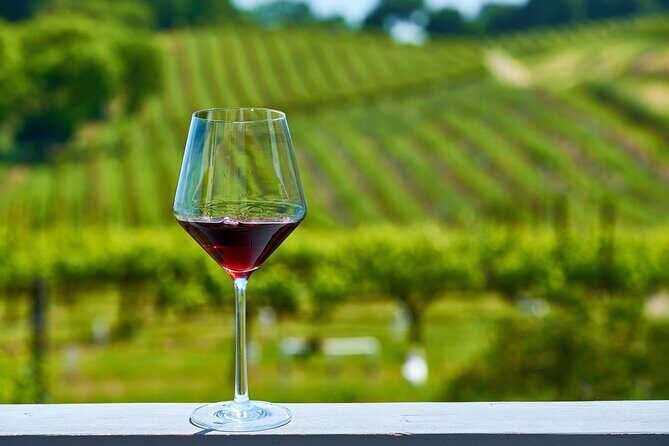 Full-Day Private Virginia Wine Tour Experience from Washington - Why It’s Worth the Price