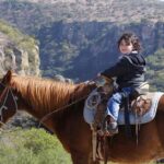 Full-Day Ranch Adventure and Horseback Riding Tour - An In-Depth Look at the Full-Day Ranch Adventure