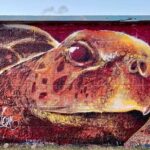 Full-Day Road to Hana and Waterfall Tour - Introduction: Why this Road to Hana Tour Stands Out