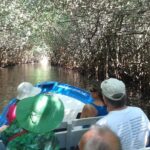 Full-Day San Blas Tour from Puerto Vallarta - A Detailed Look at the San Blas Day Tour