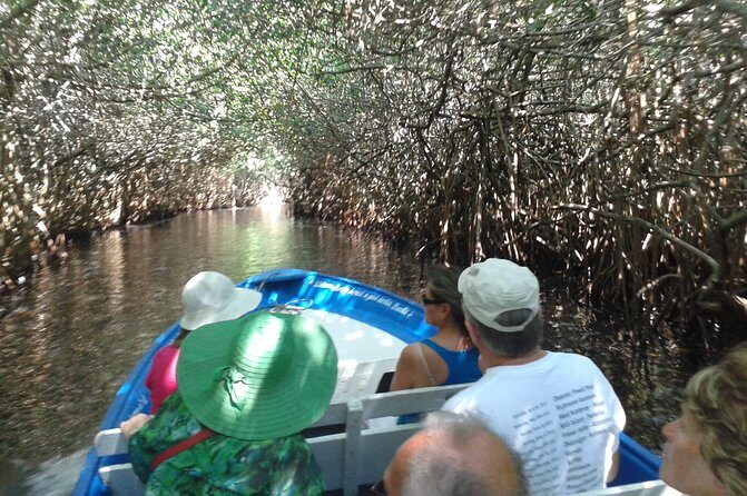 Full-Day San Blas Tour from Puerto Vallarta - A Detailed Look at the San Blas Day Tour