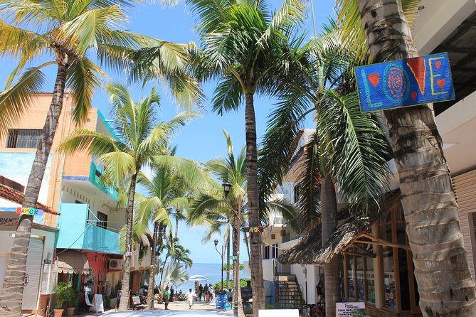Full-Day Sayulita and San Pancho from Puerto Vallarta - Transportation and Group Size