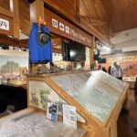 Full Day Sedona Highlights from Las Vegas - Who Should Consider This Tour?