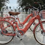 Full Day Self Guided Ebike Rental to Discover Palm Beach - Authenticity and Value: What Makes This Experience Stand Out?
