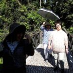 Full-Day Sepilok Orangutan and Proboscis Monkey from Sandakan or Kota Kinabalu - Who Is This Tour Best For?