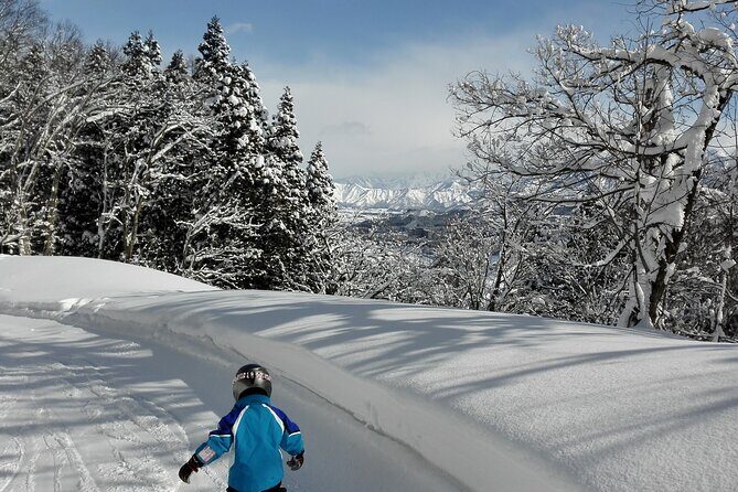 Full Day Ski Lesson (6 hours) in Yuzawa, Japan - The Sum Up: Why Choose This Ski Lesson?