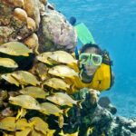 Full-Day Snorkel Extreme Adventure Tour from Riviera Maya - The Balance of Value and Adventure