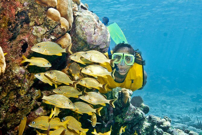 Full-Day Snorkel Extreme Adventure Tour from Riviera Maya - The Balance of Value and Adventure