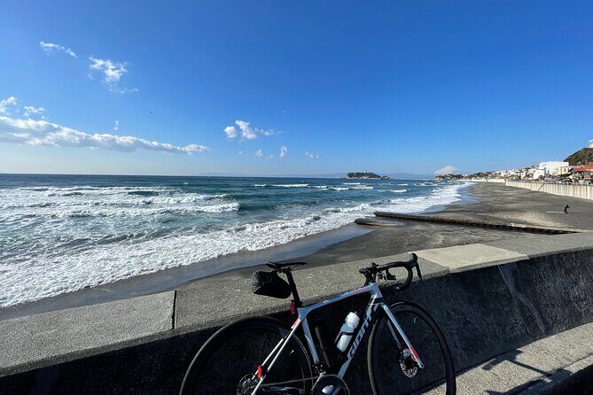 Full-Day Sport Cycle Rental - Final Thoughts: Is This Cycle Rental Worth It?