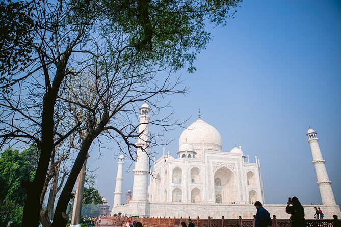 Full-Day Sunrise Taj Mahal Tour from Delhi by Car - Authentic Reviews—What Travelers Say