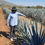 Full-Day Tequila Tour from Guadalajara - What Sets This Tour Apart