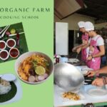 Full Day Thai Cooking at Farm (Chiang Mai) - Why This Tour Excels