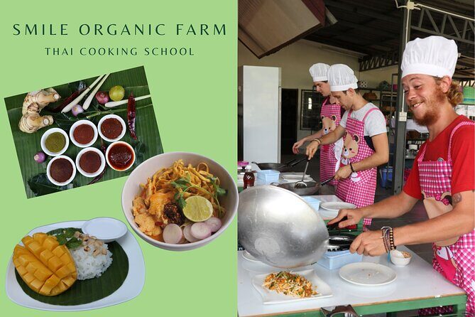 Full Day Thai Cooking at Farm (Chiang Mai) - Why This Tour Excels