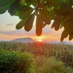 Full Day tour .City tour.Countryside.Bamboo Train.Secret Bat Cave - FAQ