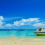 Full Day Tour in Mantanani - The Full Experience: A Deep Dive into the Mantanani Tour