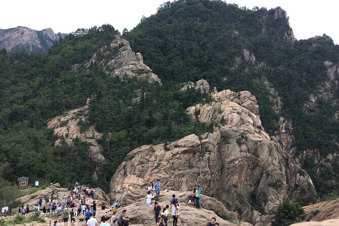 Full-Day Tour in Mt. Seorak & Nami (+Rail Bike Option) - Authentic Reviews from Travelers