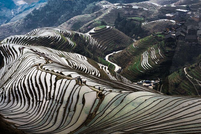 Full-day Tour: Longji Rice Terraces & Minority Villages - What Makes This Tour Stand Out