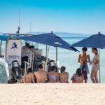 Full-Day Tour Nature Experience at Isla Espiritu Santo! Sea Lions - What’s Included & What’s Not