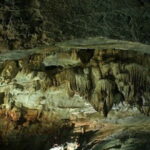 Full Day Tour Of Ninh Binh From City Center Tam Coc Or Trang An - Authentic Experiences and Practical Insights