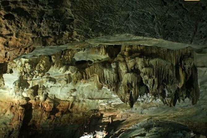 Full Day Tour Of Ninh Binh From City Center Tam Coc Or Trang An - Authentic Experiences and Practical Insights