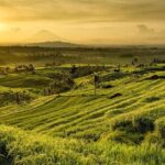 Full Day Tour of Tabanan - What’s Included and What To Expect