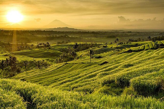 Full Day Tour of Tabanan - What’s Included and What To Expect