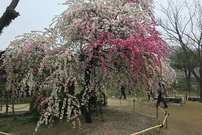 Full Day Tour on Your Arrangement - FAQ