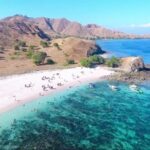 Full Day Tour to Komodo Island By Speed Boat to explore 6 destinations - Who Will Love This Tour?