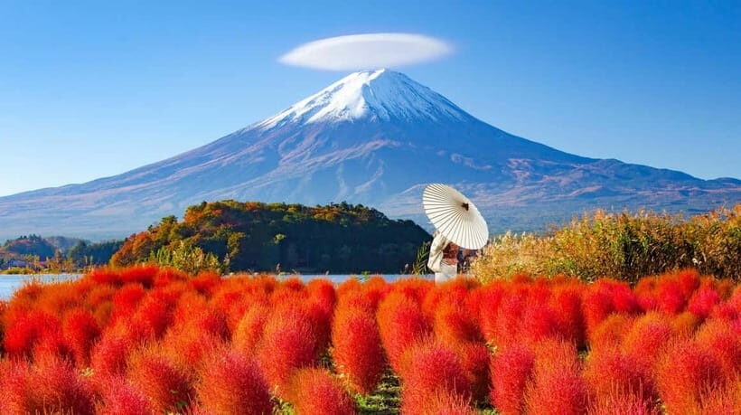 Full-Day Tour to the Picturesque Spots of Mount Fuji - Transportation & Practical Details