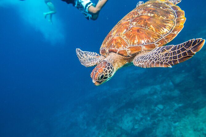 Full-day Tour to the Similan Islands by Speedboat from Khao Lak - Who Would Love This Tour?