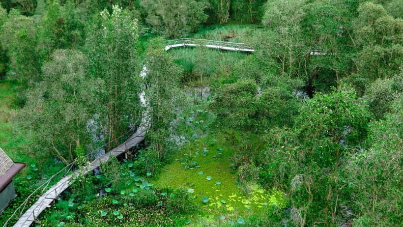Full Day Tour Tra Su Forest From Can Tho City - Detailed Review of the Tra Su Forest Tour