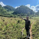 Full Day Trek to Kuang Si Waterfalls, Remote Village - What the Reviews Tell Us