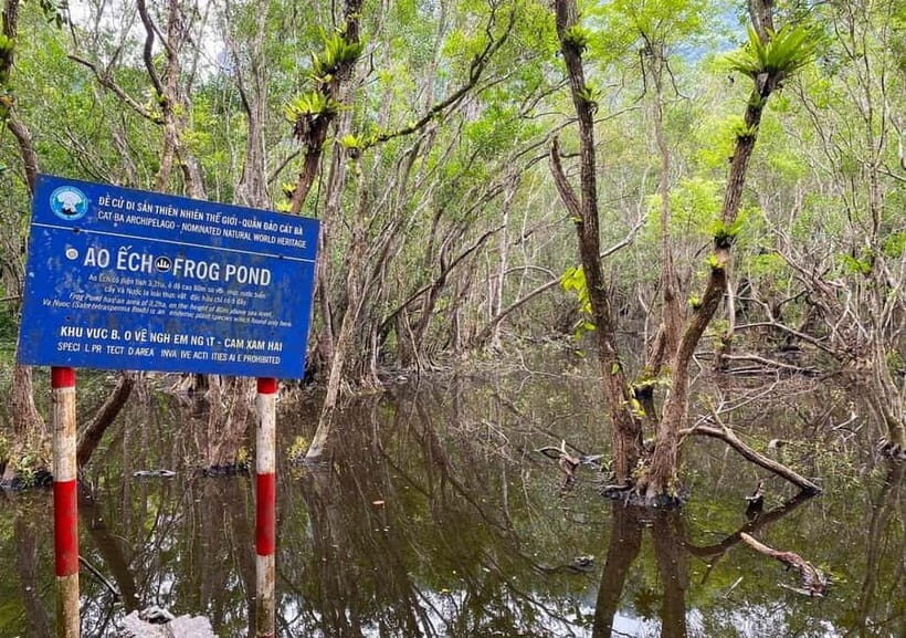 Full-Day Trekking, Biking Explore Cat Ba National Park - What to Expect on Your Day Trip to Cat Ba National Park