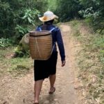 Full Day Trekking in Sapa - In The Sum Up