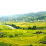 Full Day Trekking Lao Chai-Ta Van and Cat Cat Village - Who Is This Tour Best For?