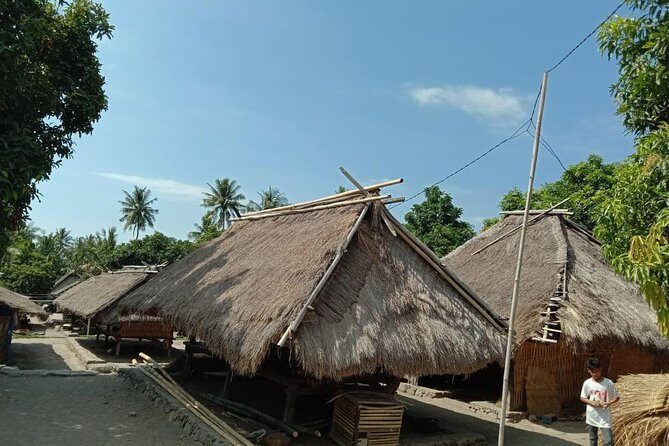 Full Day Trip to Senaru Waterfalls & Tribe Village - Who Should Consider This Tour?