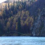 Full-Day Upper Kenai River Guided Fishing Trip - Authentic Experiences and Genuine Value
