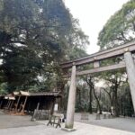 Full Day Walking Tour in Shinjuku and Shibuya - Authentic Experiences and Practical Details