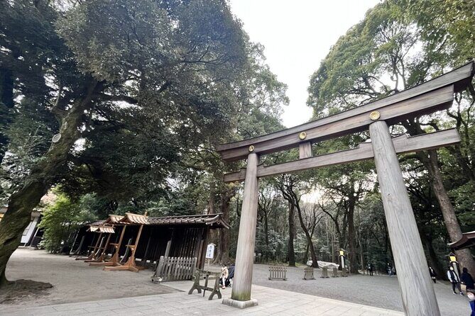 Full Day Walking Tour in Shinjuku and Shibuya - Authentic Experiences and Practical Details