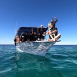 Full-Day Whale Shark Snorkeling Adventure with Beach Lunch - FAQs