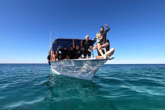 Full-Day Whale Shark Snorkeling Adventure with Beach Lunch - FAQs