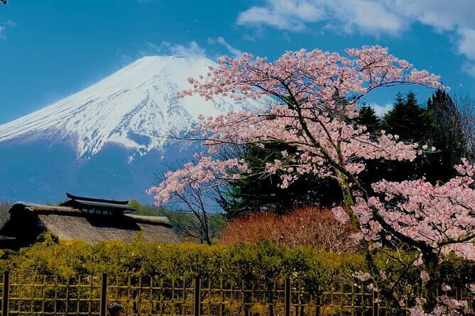 Full Guided Mt. Fuji & Hakone Attractive Private Day Tour - Why This Tour Works for You