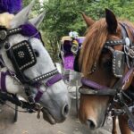 Full loop Private Horse Carriage Ride in Central Park 45 Minutes - Who Will Love This Tour?