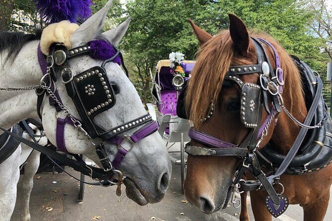 Full loop Private Horse Carriage Ride in Central Park 45 Minutes - Who Will Love This Tour?