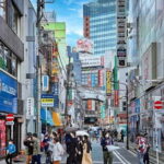 Full Tokyo: Meiji Shrine, Imperial Palace, Asakusa & Skytree - Transportation and Logistics