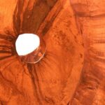 Full Valley Tour 2.5 Hrs. - Exploring the Details: What Makes This Tour Stand Out